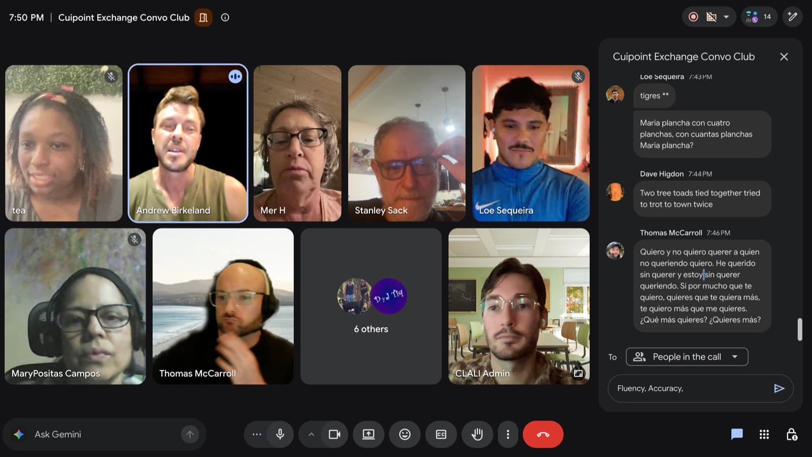 Participantes de Cuirpoint Exchange en una sesión virtual de la serie de aprendizaje